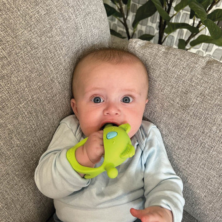 Nuby Mini Wrist Grip Teething Mitten – Koala