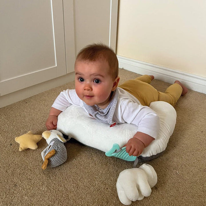 Nuby Penguin Tummy Time Pillow