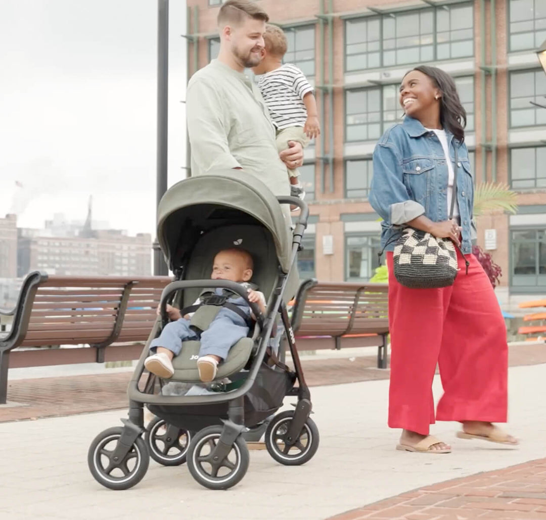 Joie Mydrift Stroller – Raven