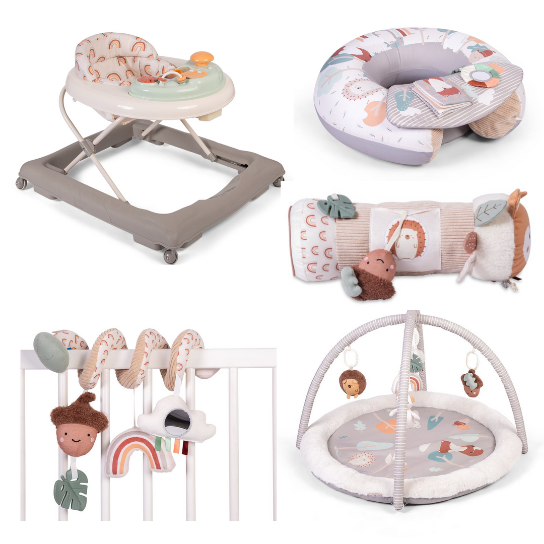 Red Kite Cmplete Activity Bundle Woodland Walks