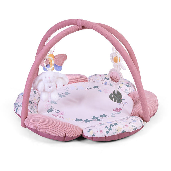 Red Kite Play Gym Rose & Ivy Main Image