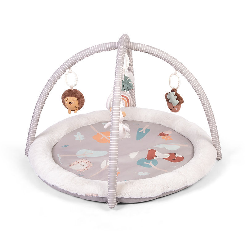 Red Kite Woodland Walks Play Gym with toys on a white background