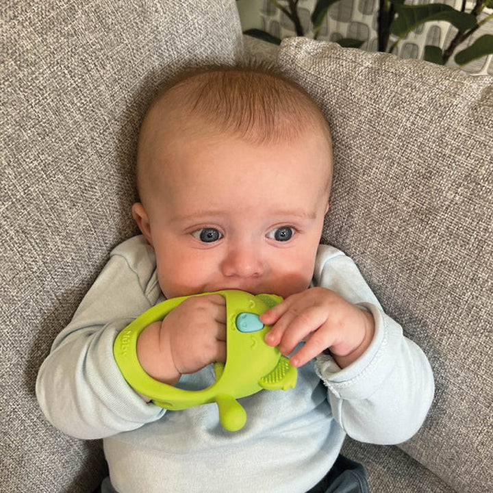 Nuby Mini Wrist Grip Teething Mitten – Koala