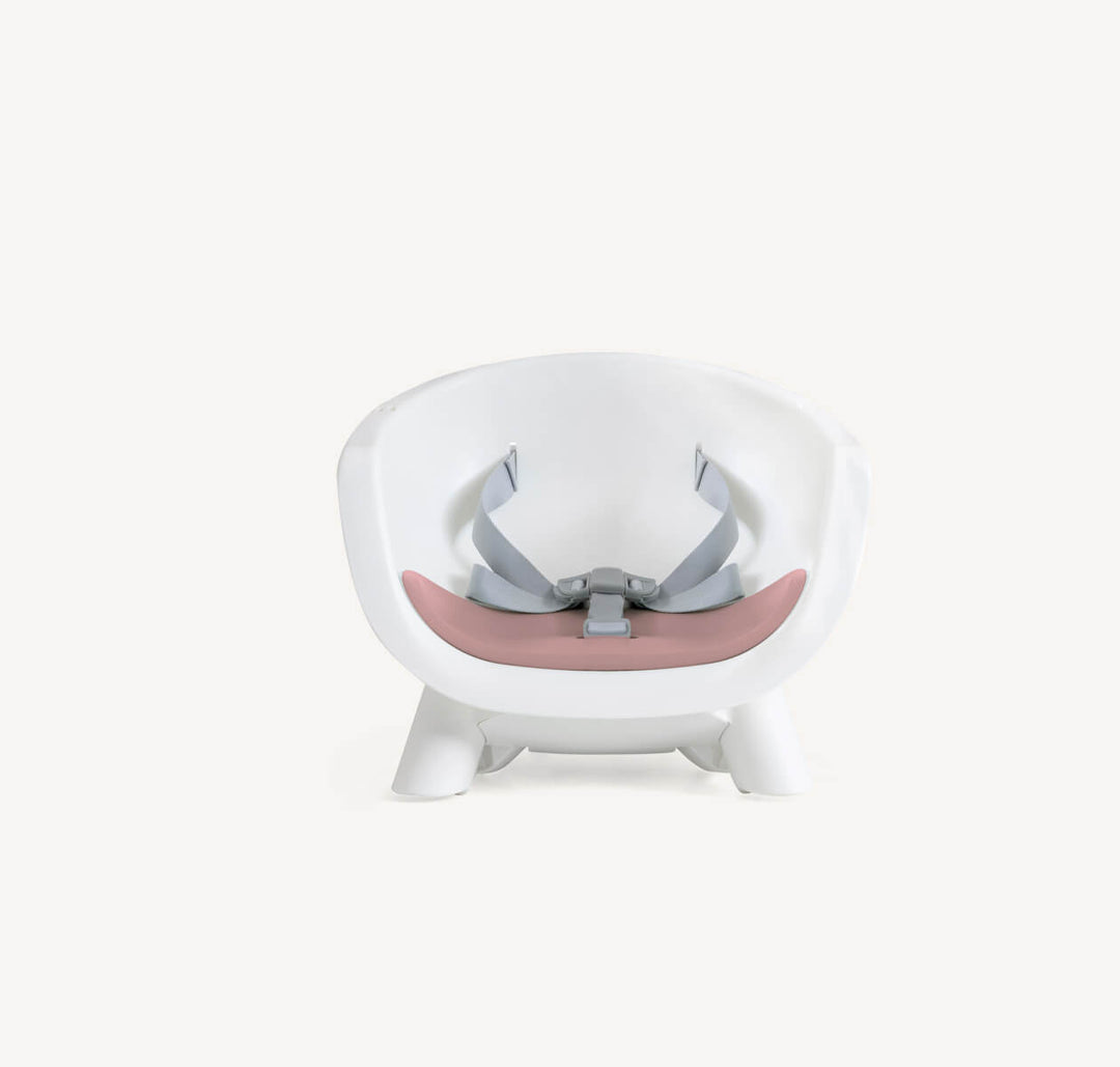 Joie Chestnut 9 in 1 Highchair – Lola