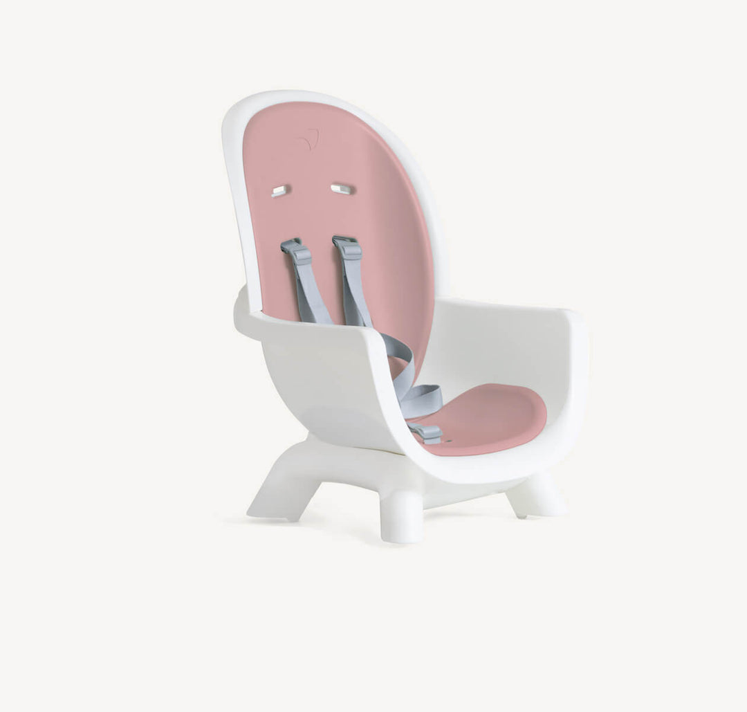 Joie Chestnut 9 in 1 Highchair – Lola